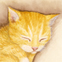 snuggle